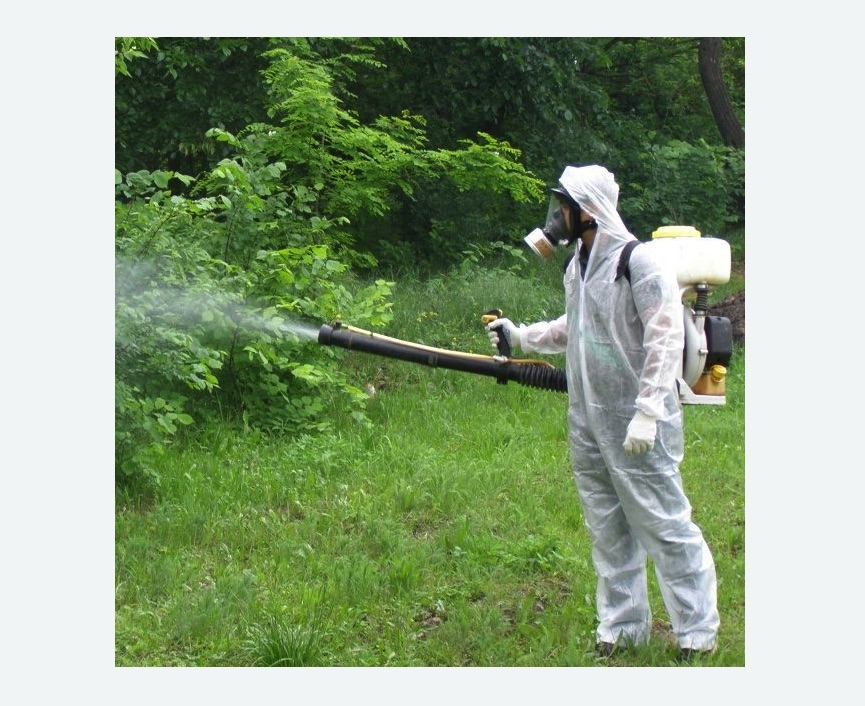 обработка территории от клещей в Камызяке