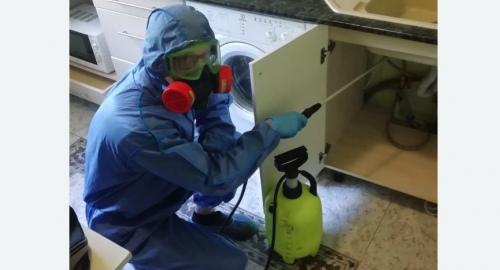 Уничтожение муравьев в квартире. Камызяк