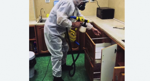 Уничтожение насекомых в квартире. Камызяк