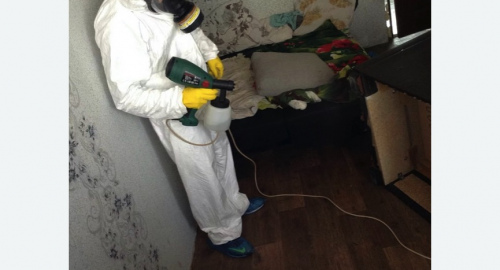 Обработка квартир от насекомых в Камызяке