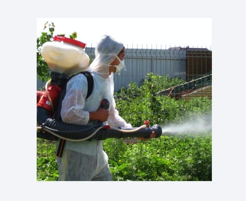 Акарицидная обработка территории в Камызяке