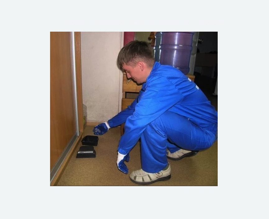 Дератизация крыс в Камызяке