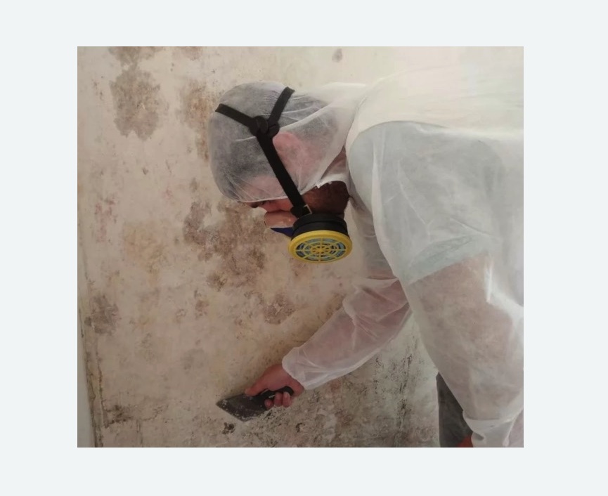 Обработка стен от плесени в Камызяке