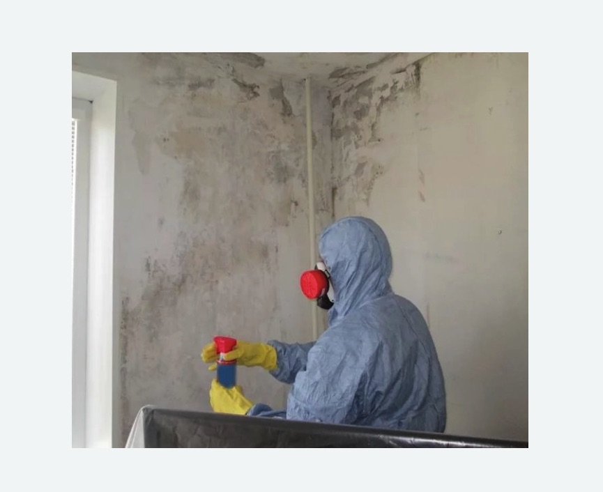 Удаление плесени в квартире в Камызяке