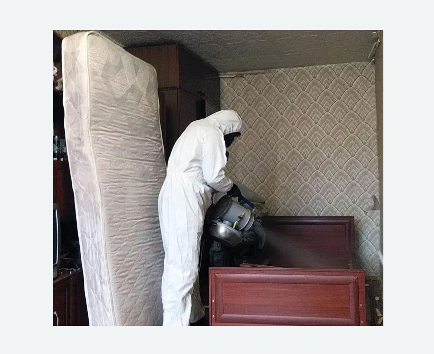 дезинфекция от клопов дезинфекция от клопов в Камызяке