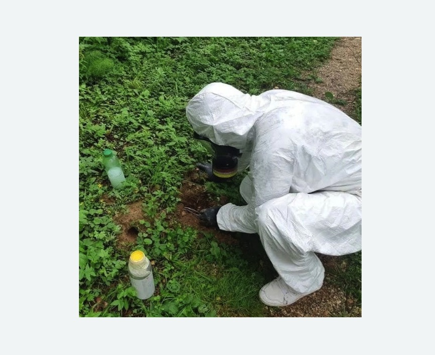 уничтожение кротов на участке уничтожение кротов на участке в Камызяке