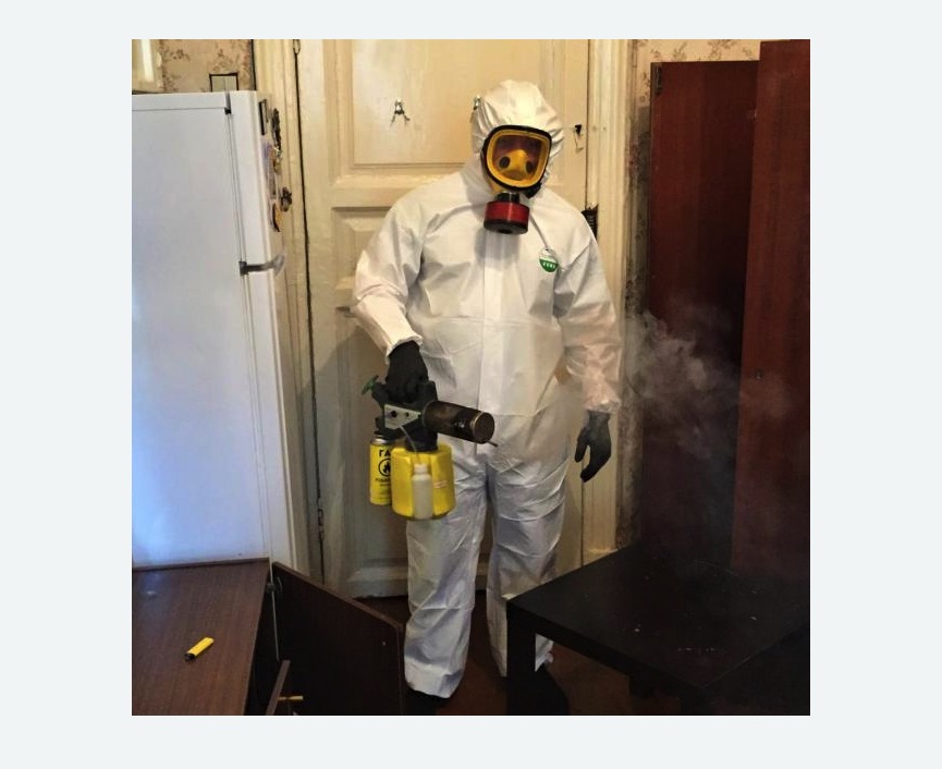 уничтожение муравьев в квартире в Камызяке